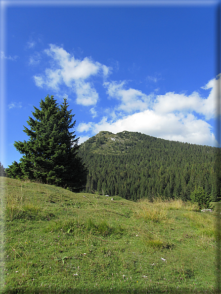 foto Dal Passo Vezzena al Pizzo di Levico